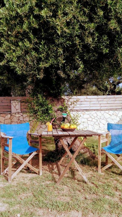 Villa Julia Tsilivi  Esterno foto